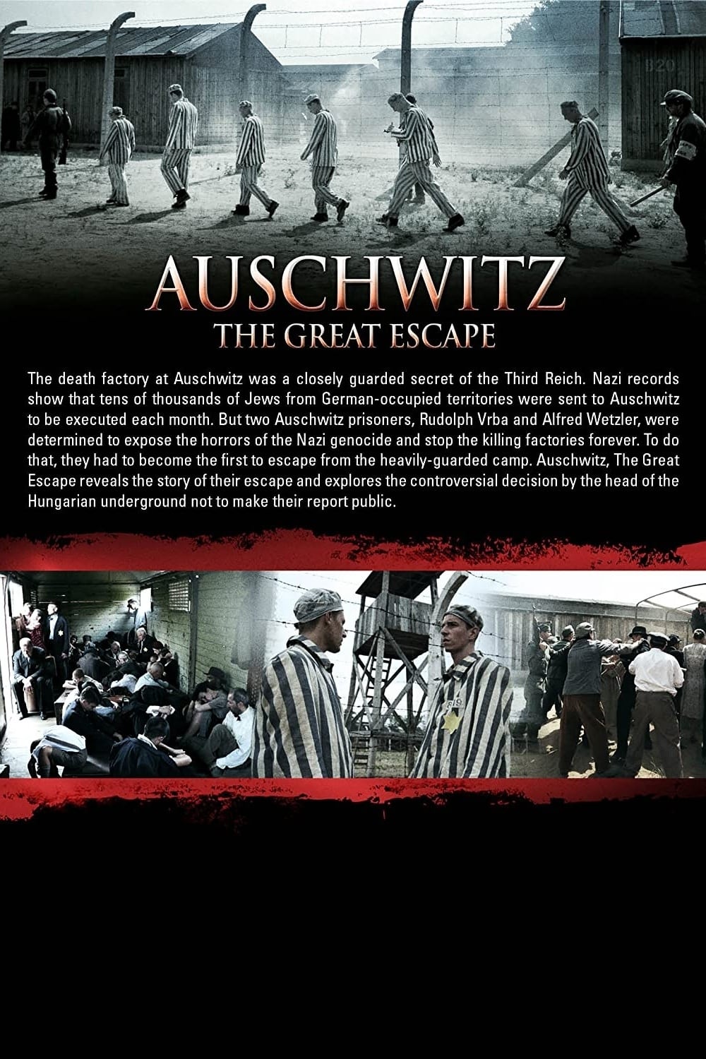 Auschwitz: The Great Escape