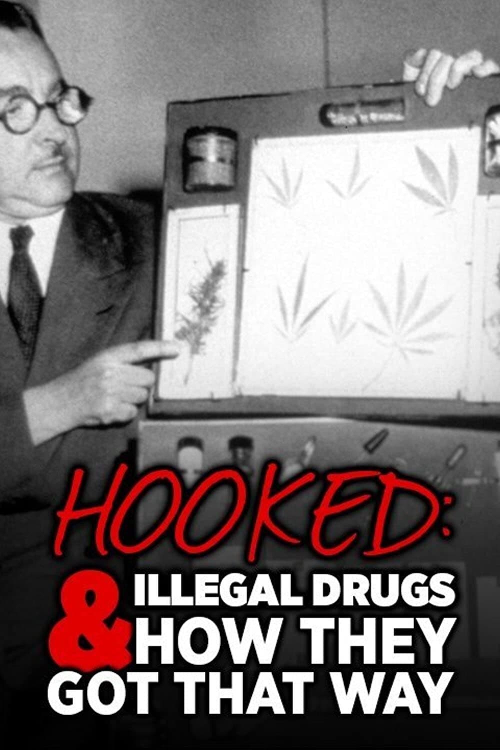 Hooked - Illegal Drugs and How They Got That Way
