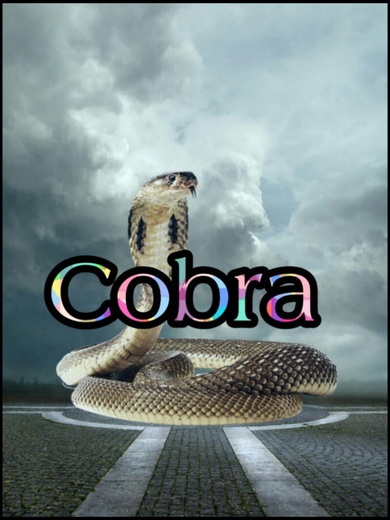 Cobra (1997)