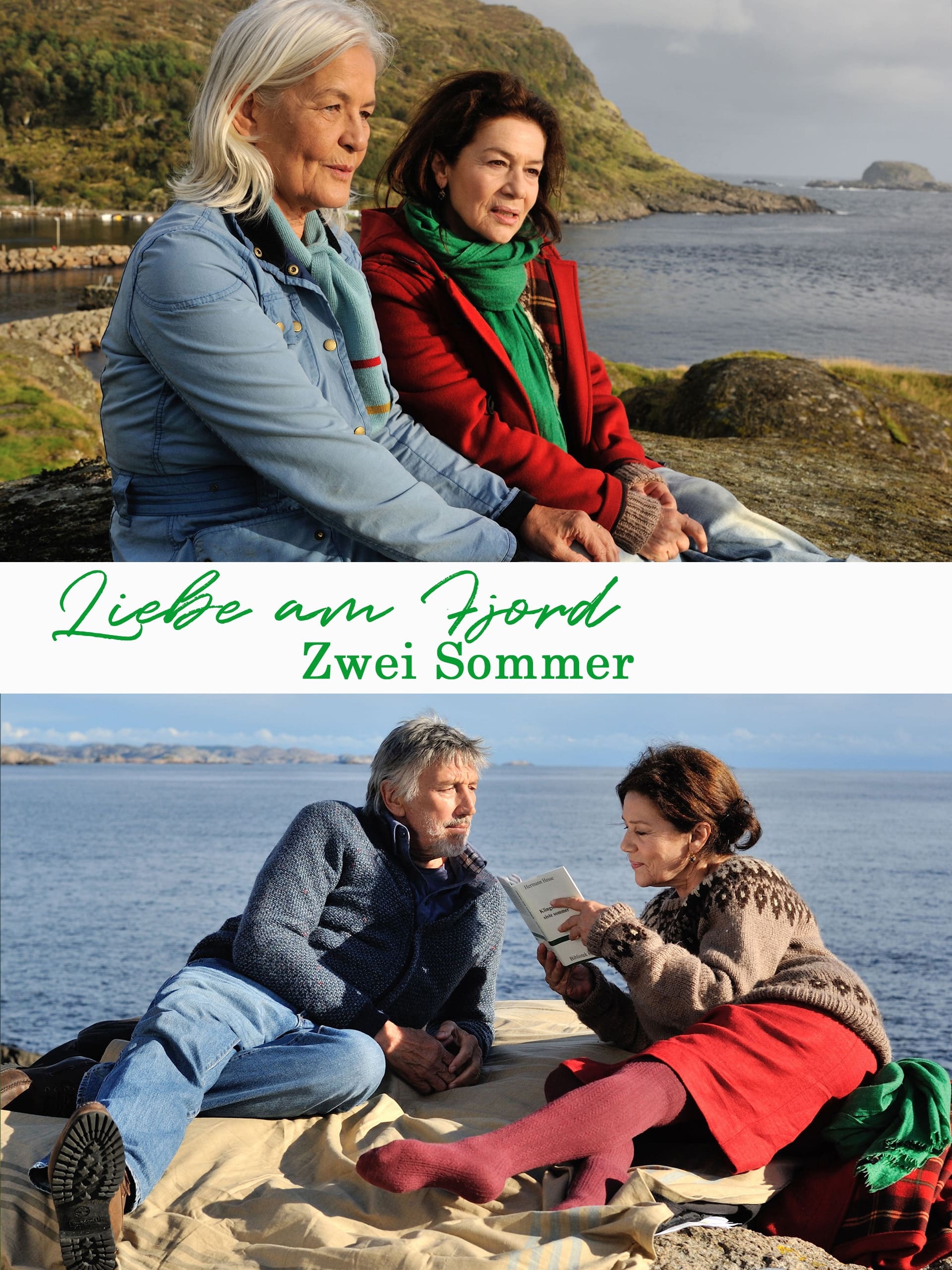 Liebe am Fjord: Zwei Sommer (2013)