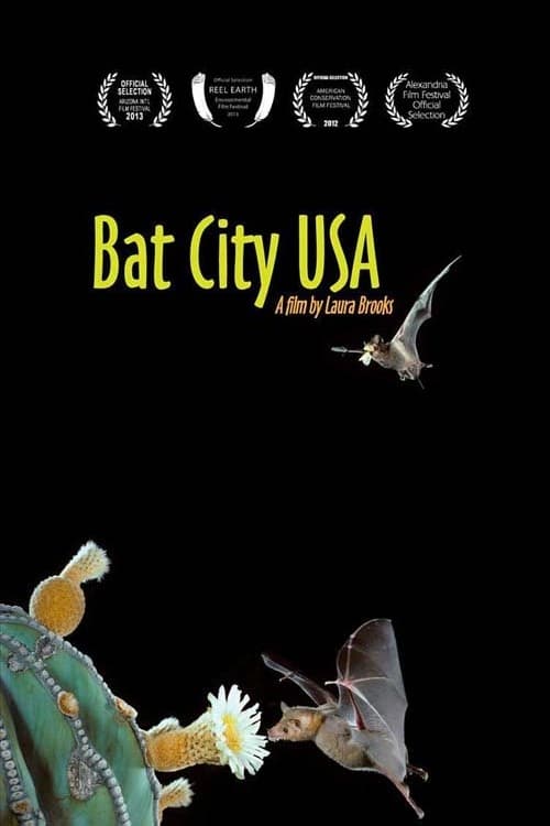 Bat City USA