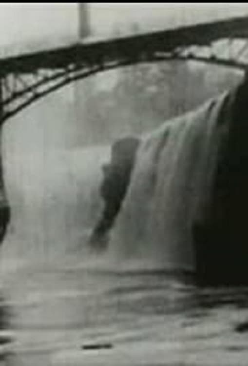 Passaic Falls, New Jersey (1896)