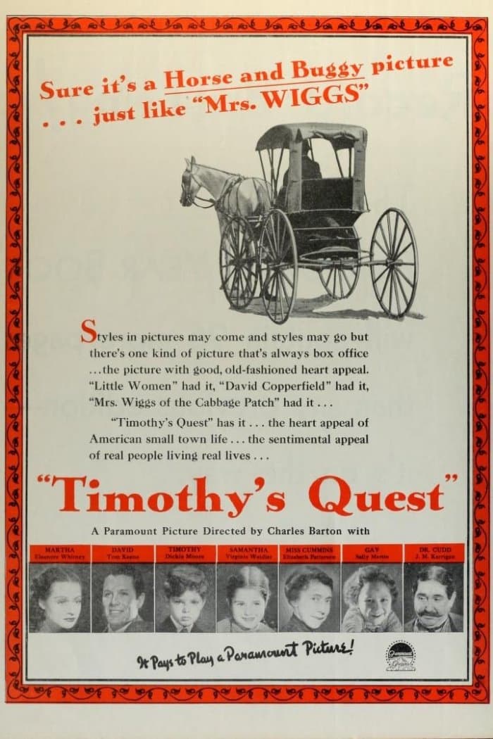 Timothy's Quest