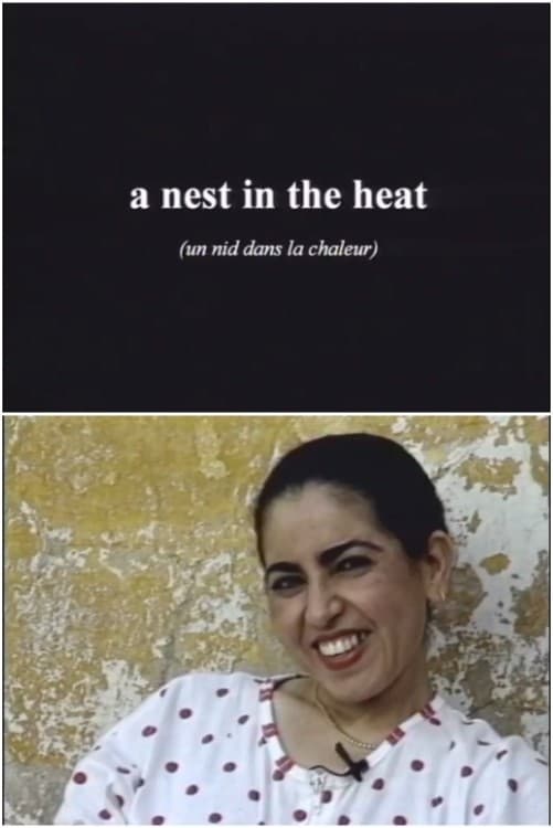 Boujad: A Nest in the Heat