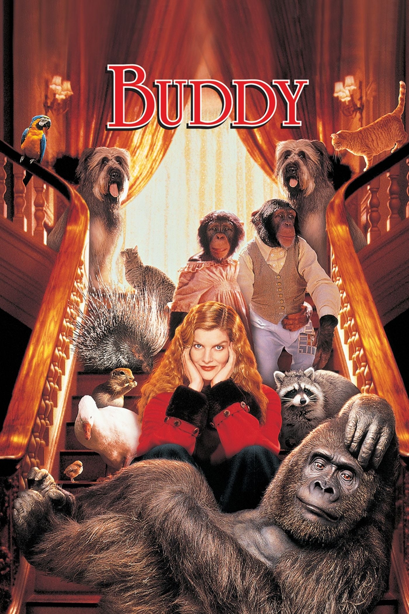 Buddy, Meu Gorila Favorito (1997)