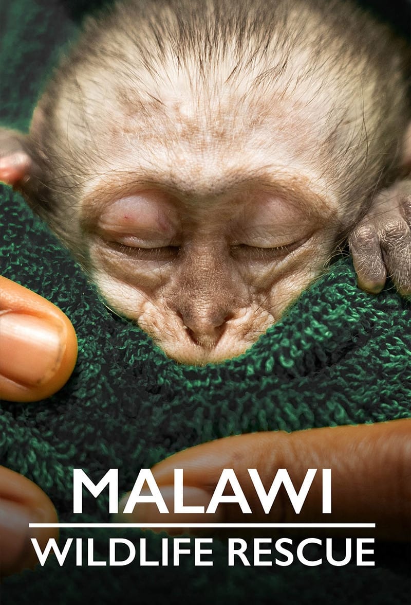 Malawi Wildlife Rescue