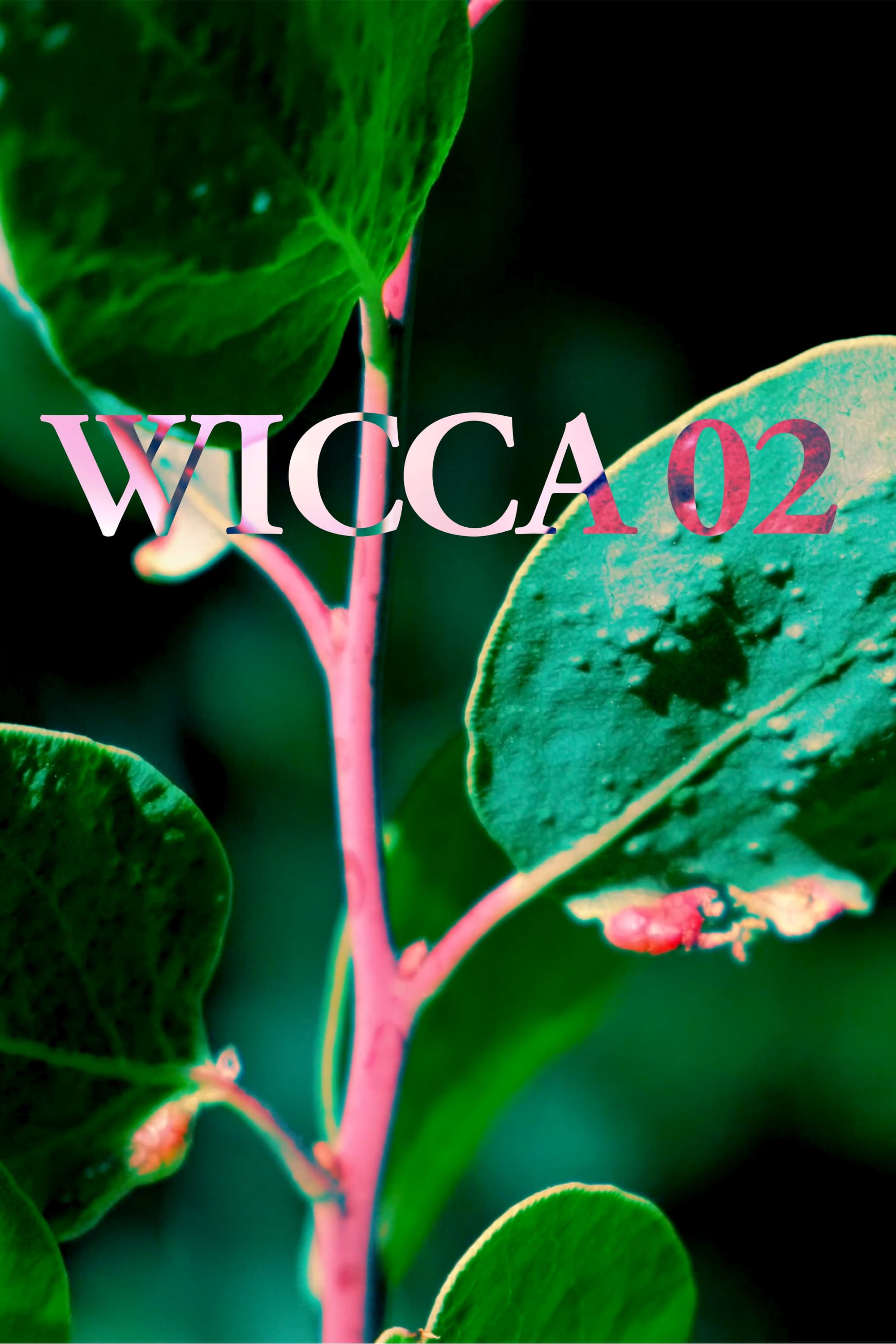 WICCA_02