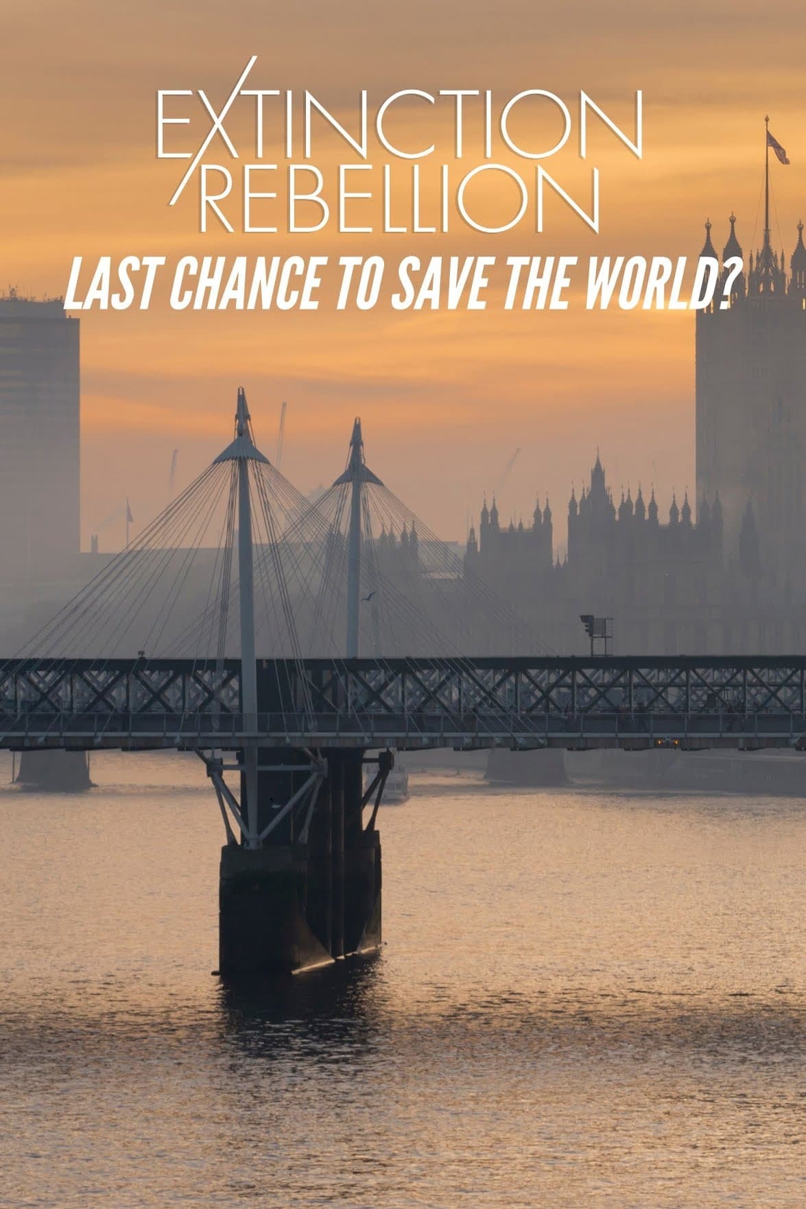 Extinction Rebellion: Last Chance to Save the World?