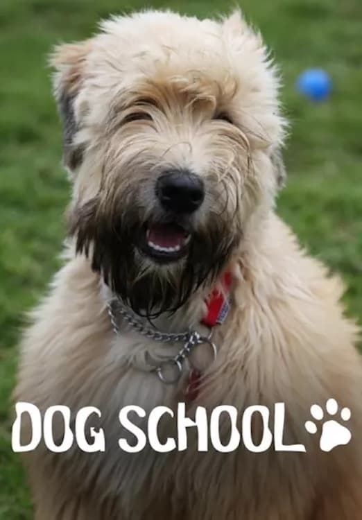 Dog School