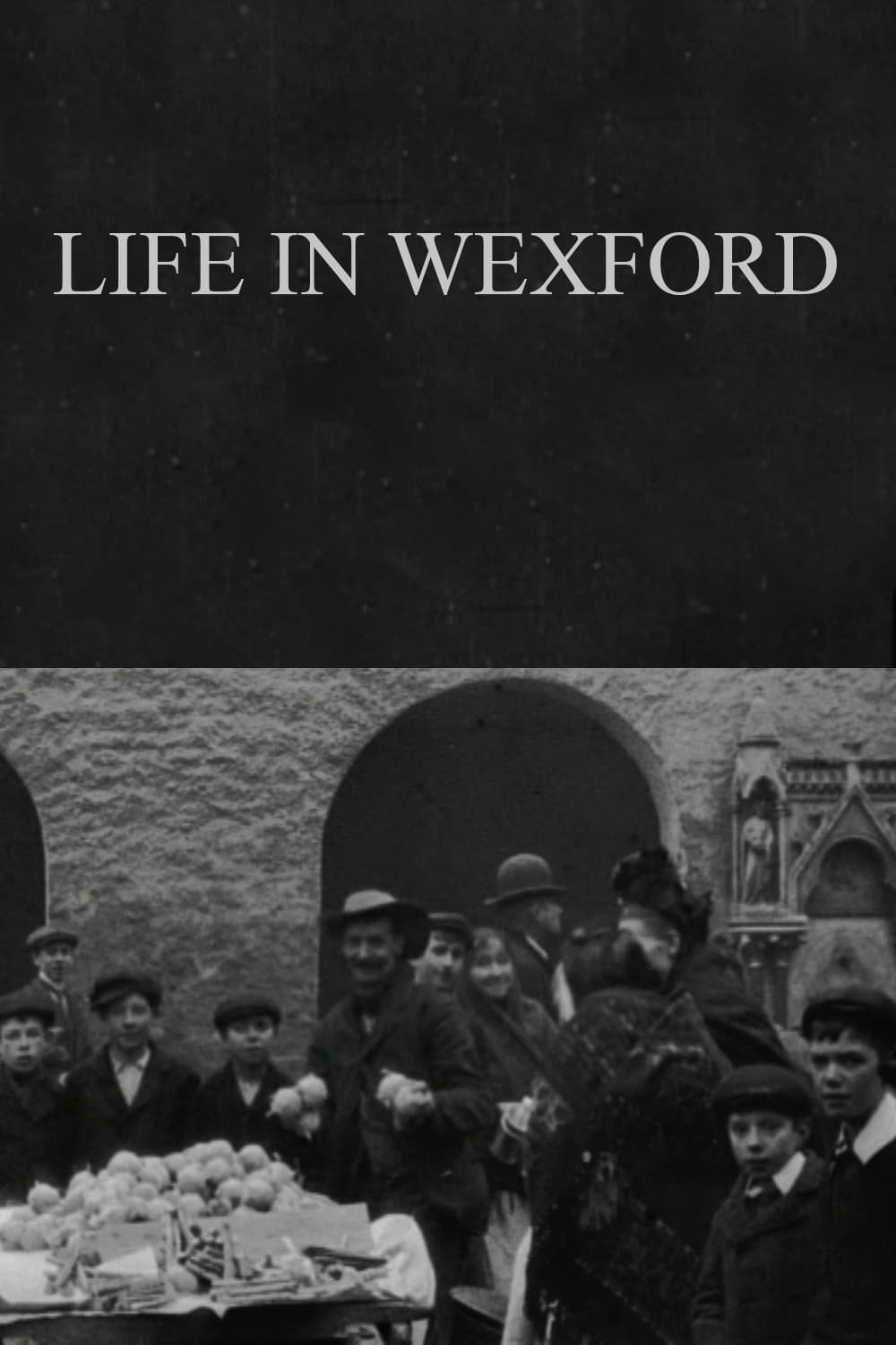 Life in Wexford