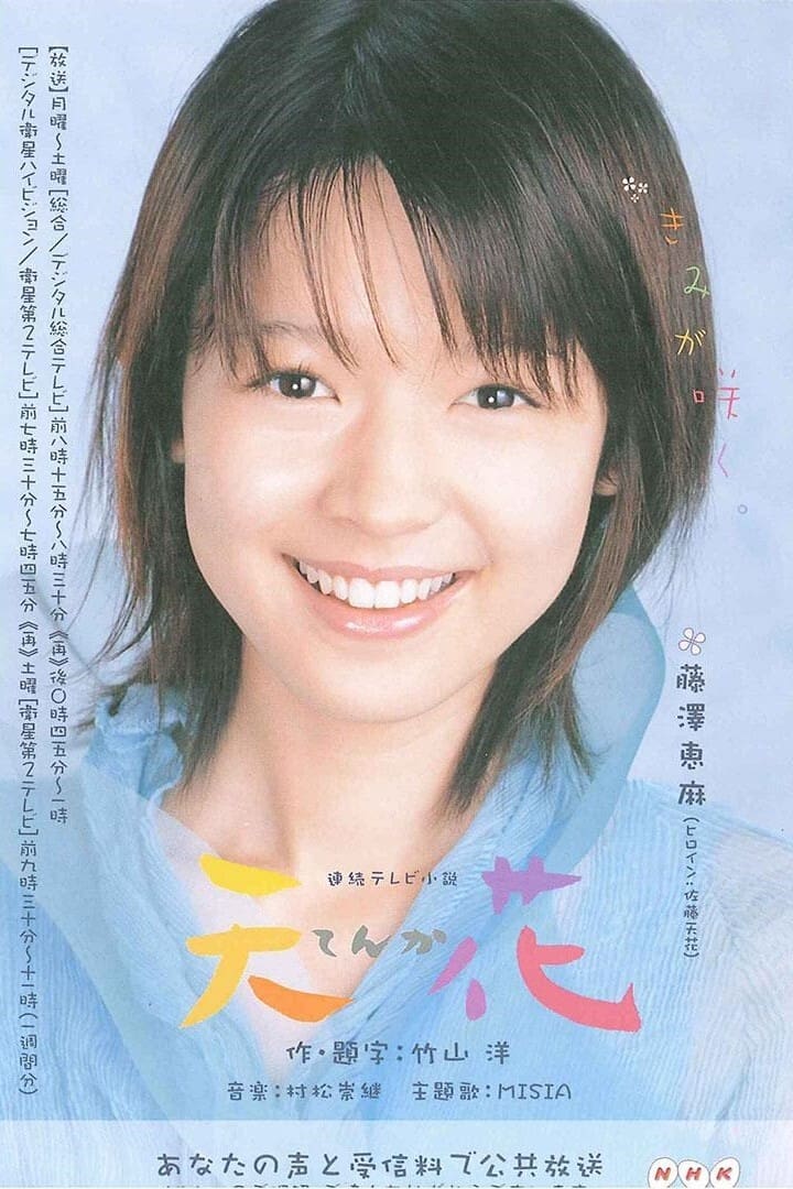 てんか (2004)