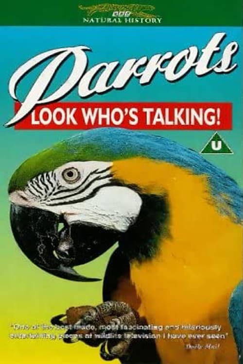 Parrots: Look Who's Talking
