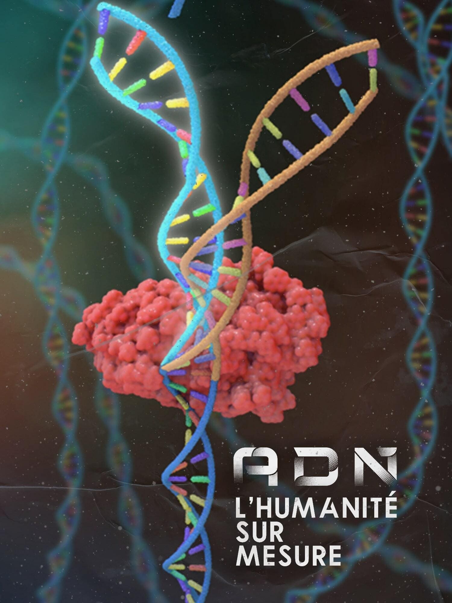 DNA: Custom Humanity