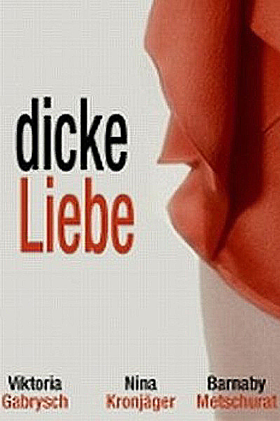 Dicke Liebe (2008)