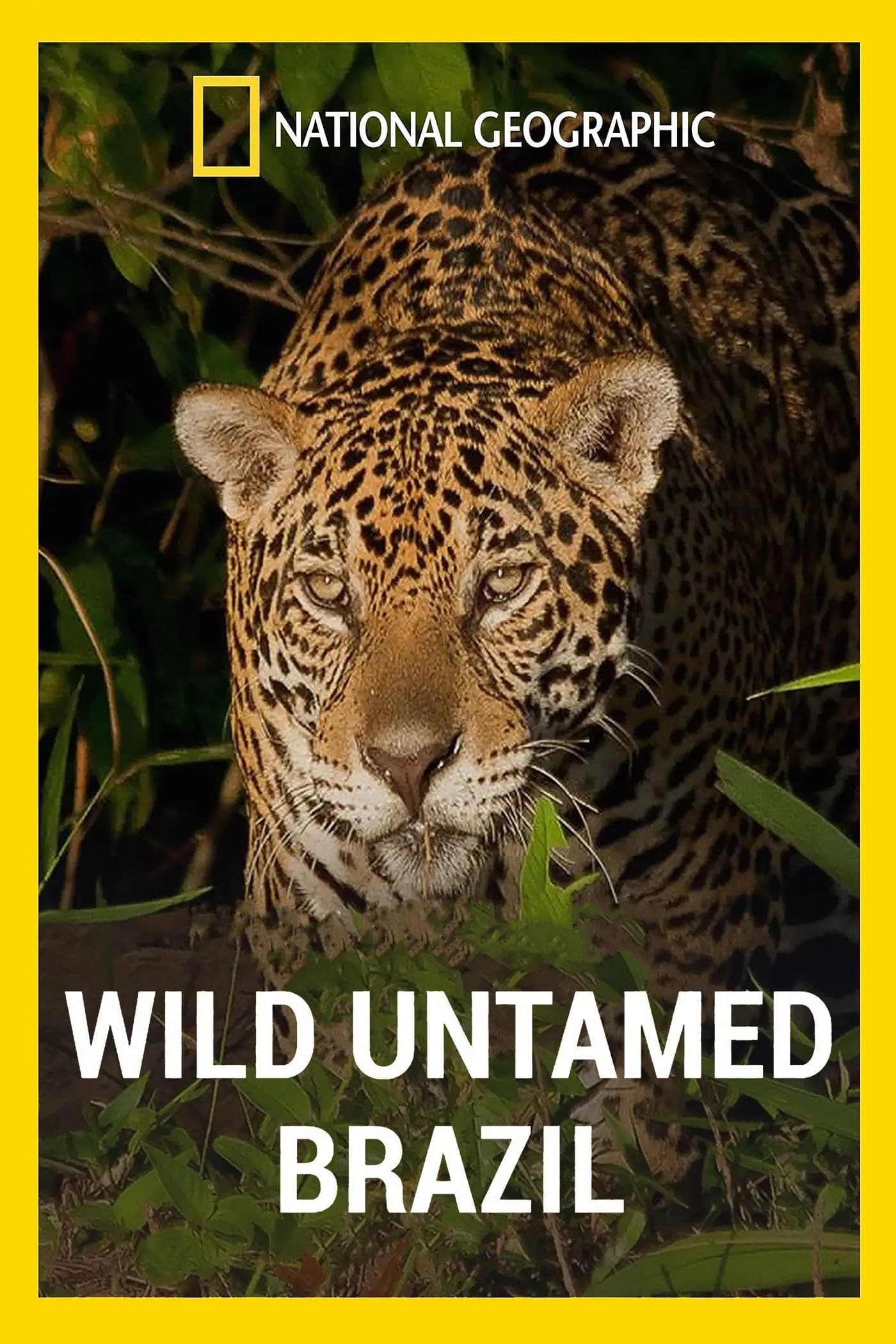 Wild Untamed Brazil