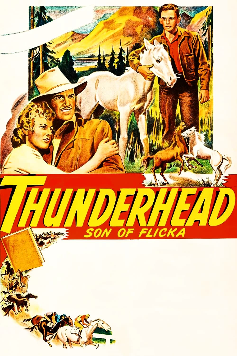 Thunderhead - Son of Flicka