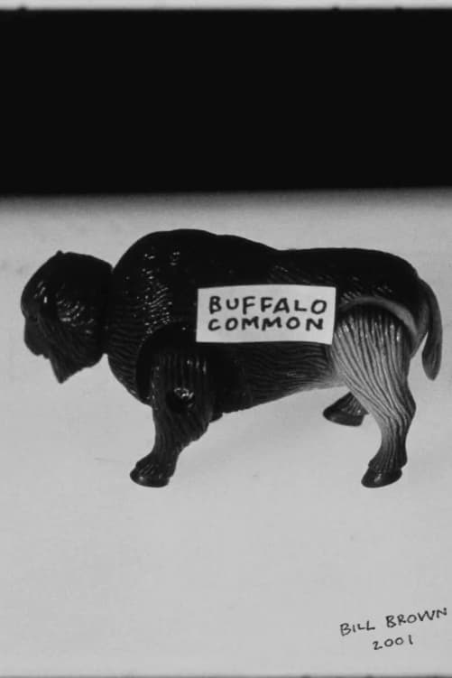 Buffalo Common