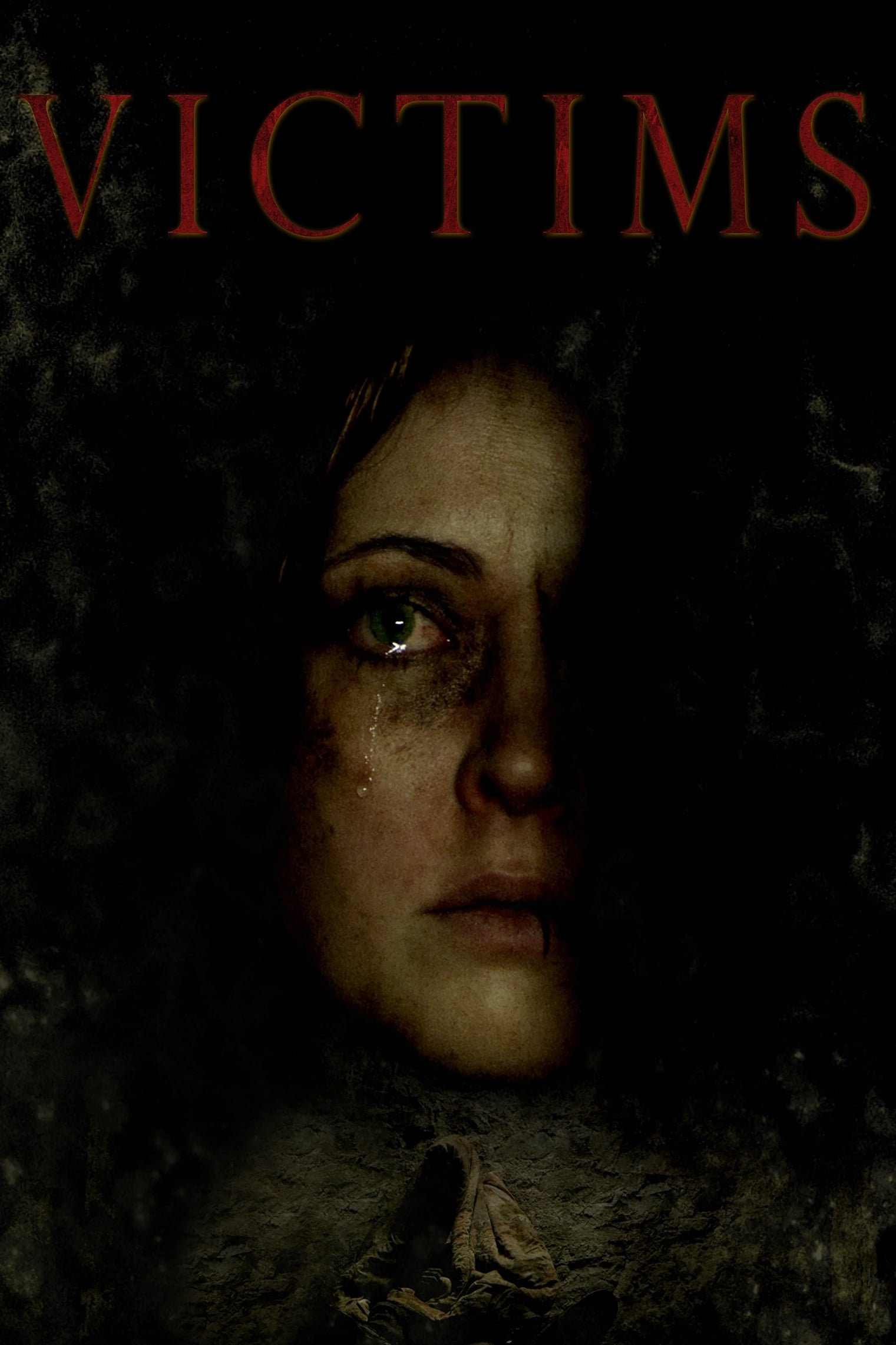 Victims (2013)