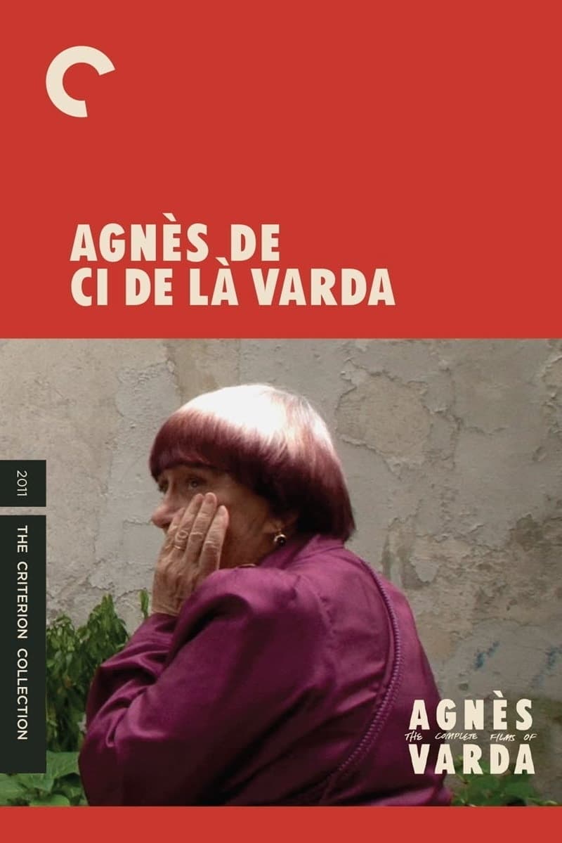 Agnès Varda: From Here to There (2011)