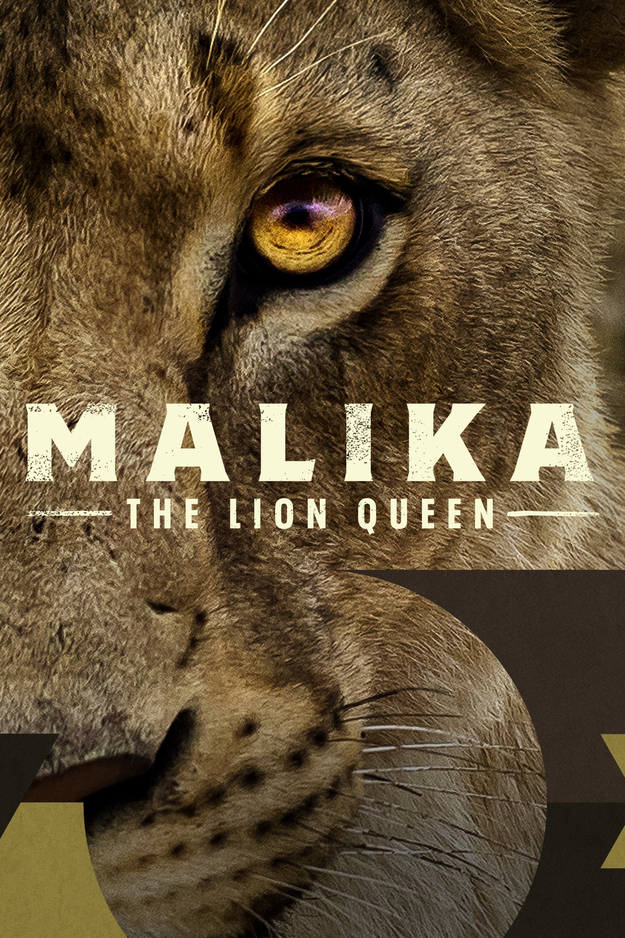Malika: A Rainha Leoa