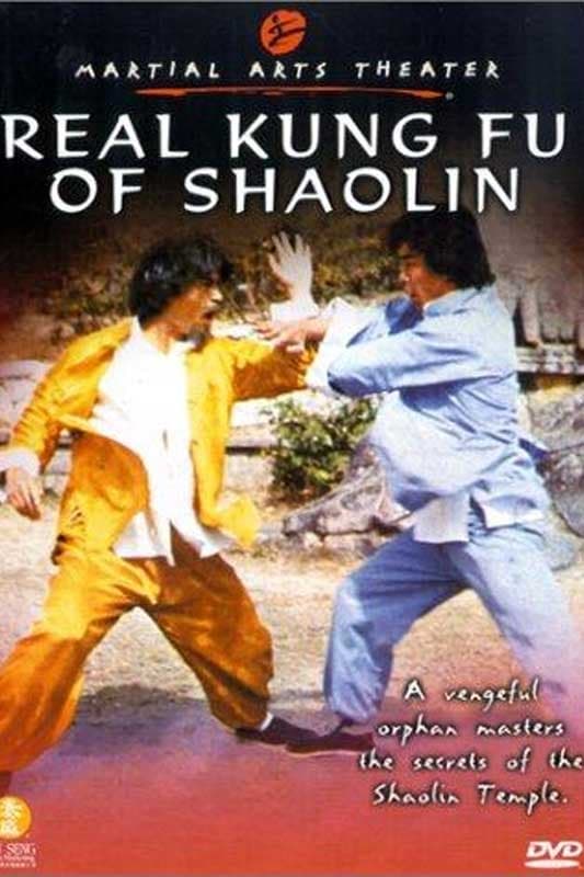 Real Kung Fu Of Shaolin