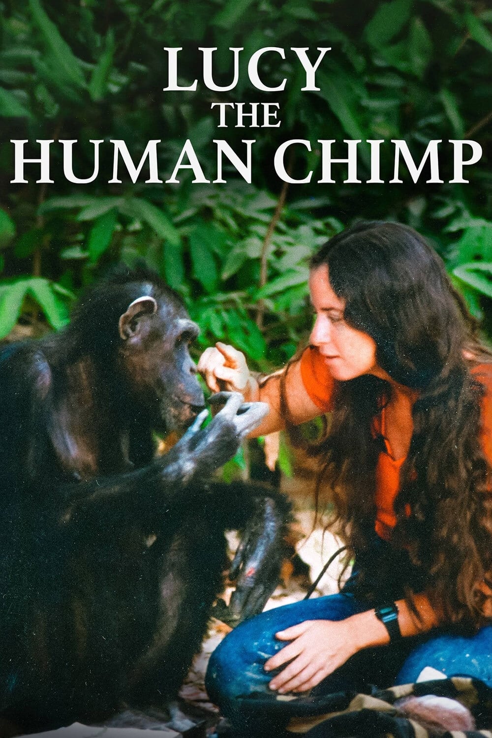 Lucy the Human Chimp