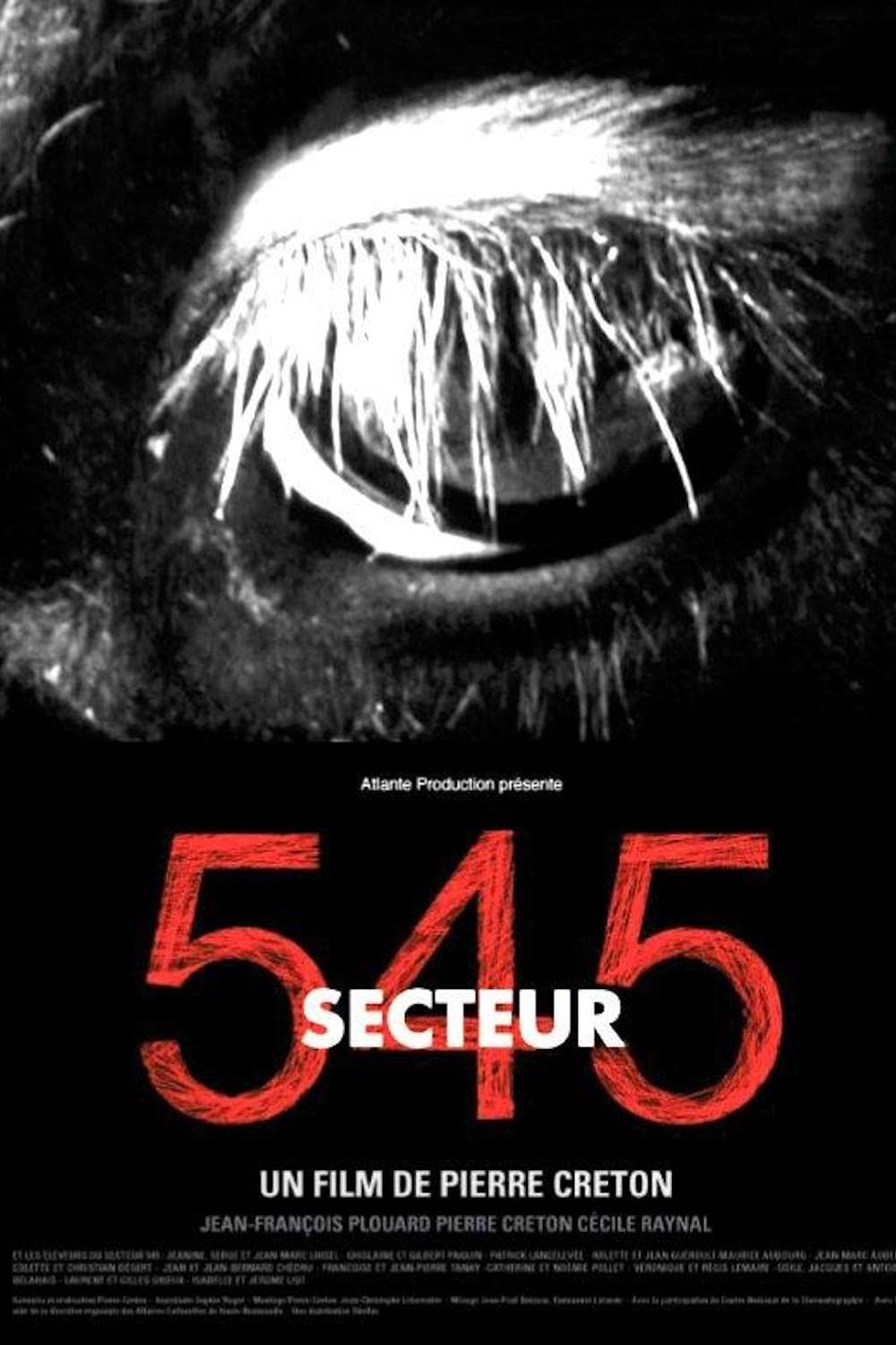 Secteur 545