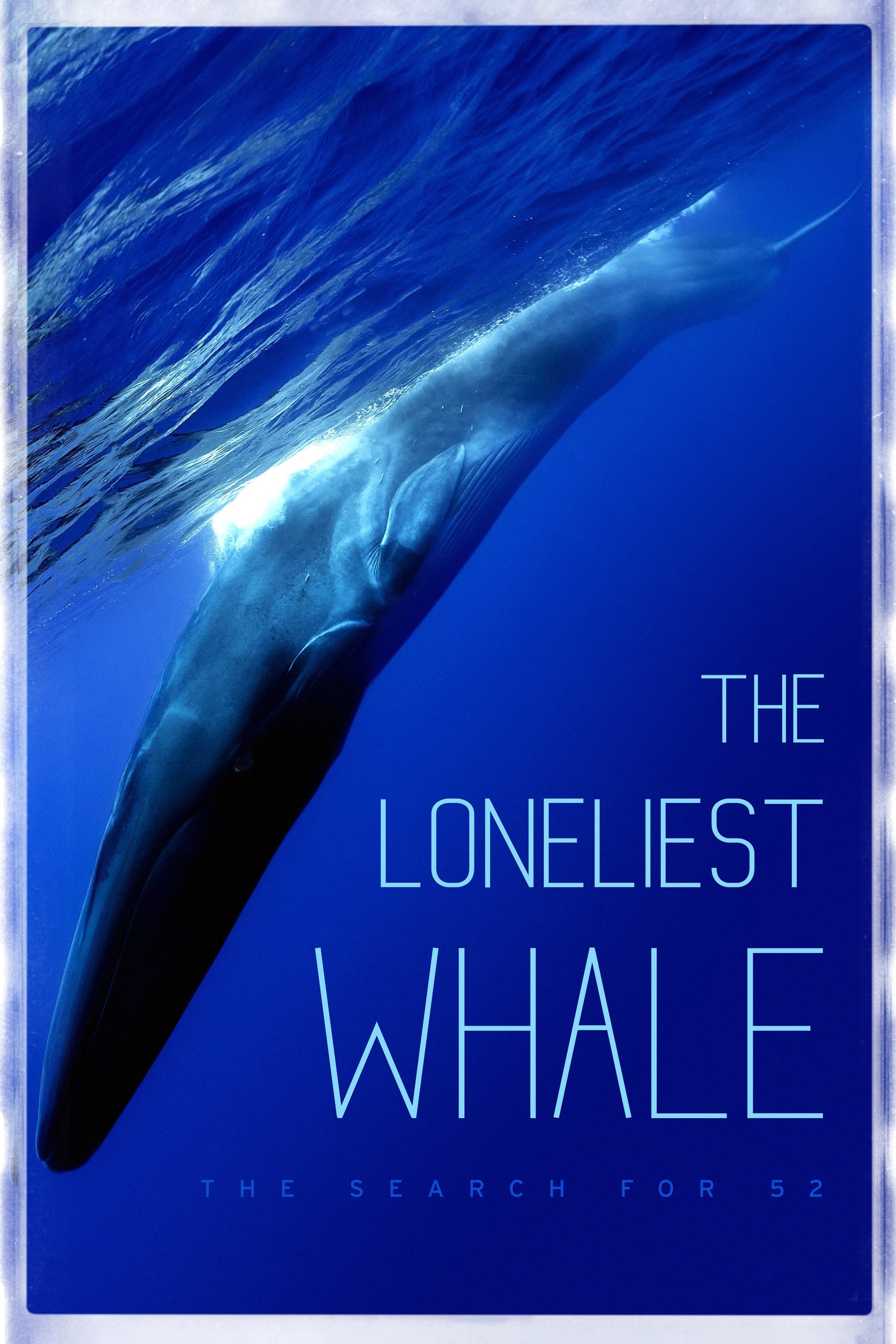 The Loneliest Whale: The Search for 52