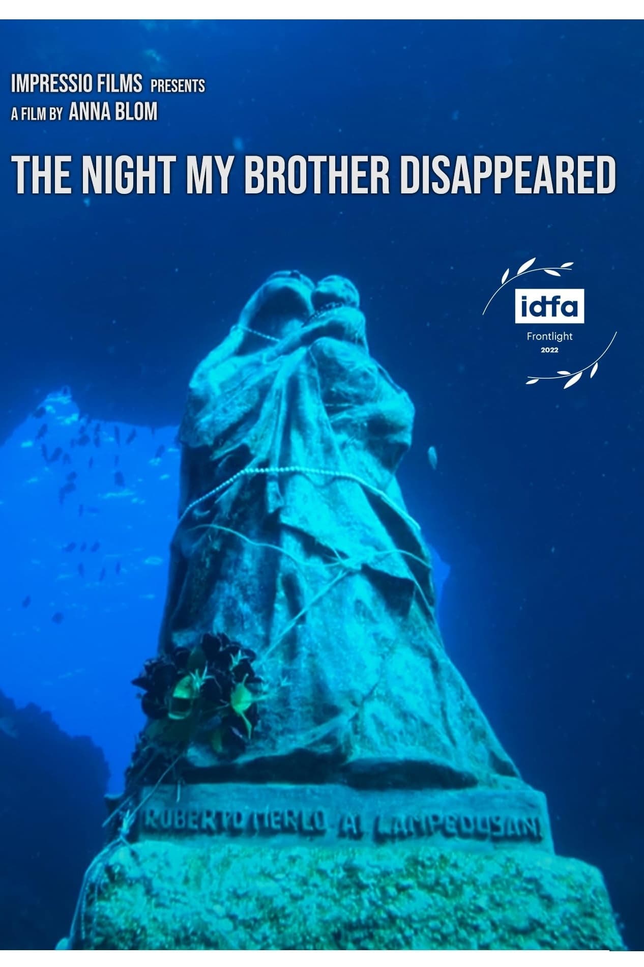 The Night My Brother Disappeared