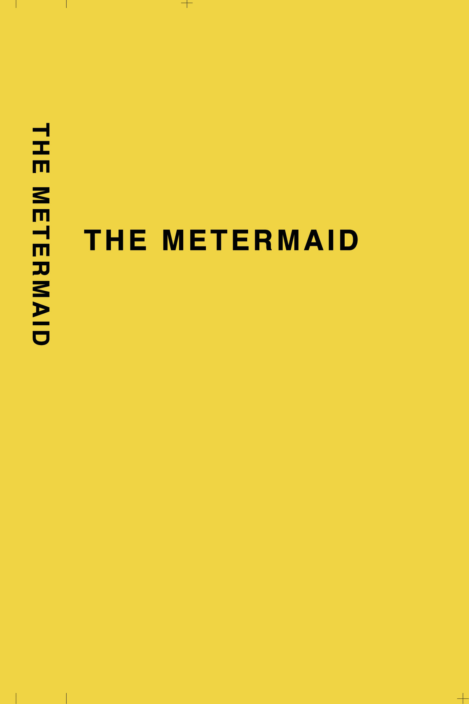 THE METERMAID