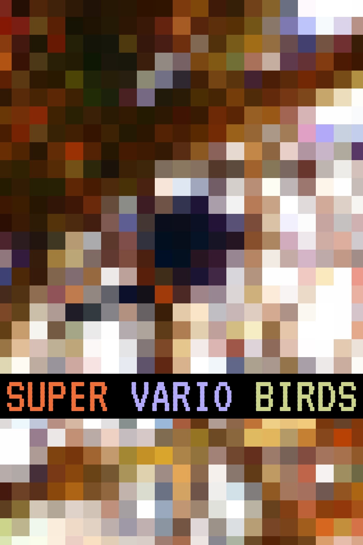 Super Vario Birds