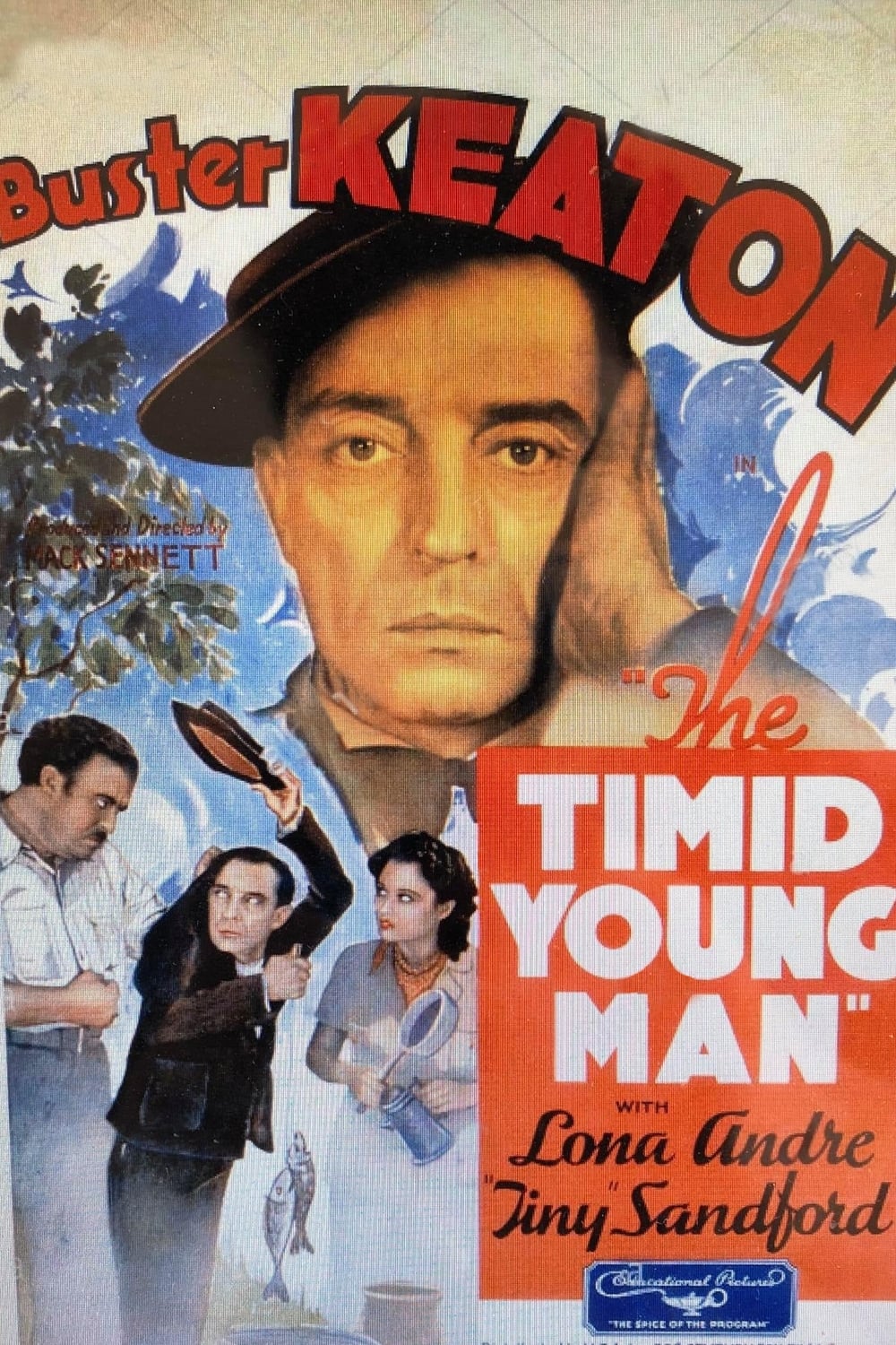The Timid Young Man (1935)