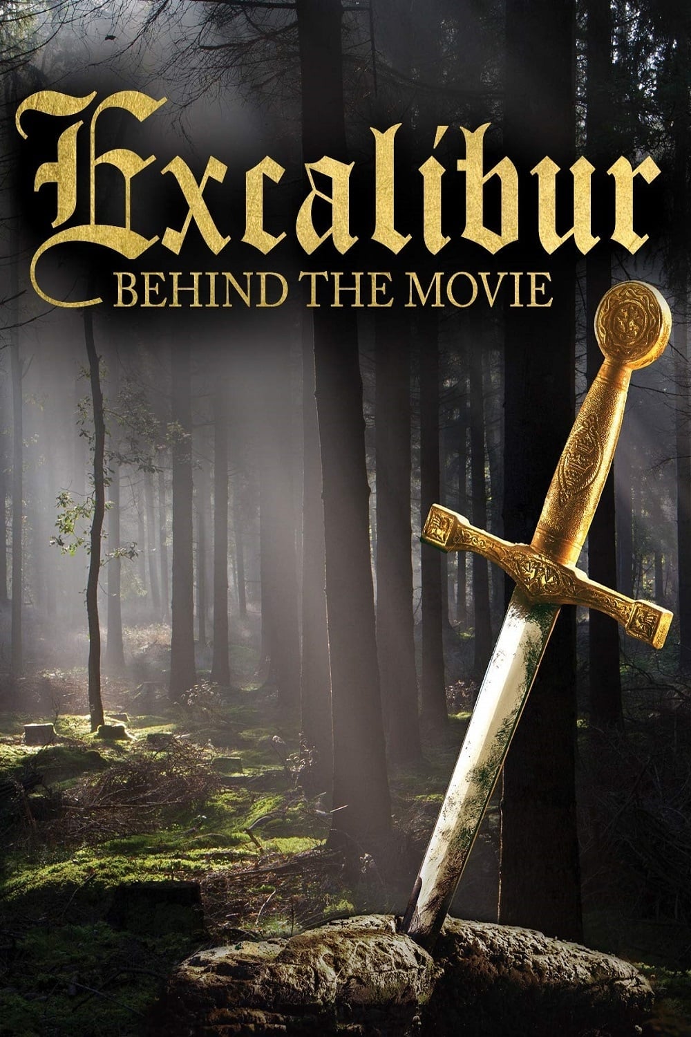 Excalibur: Behind the Movie (2013)