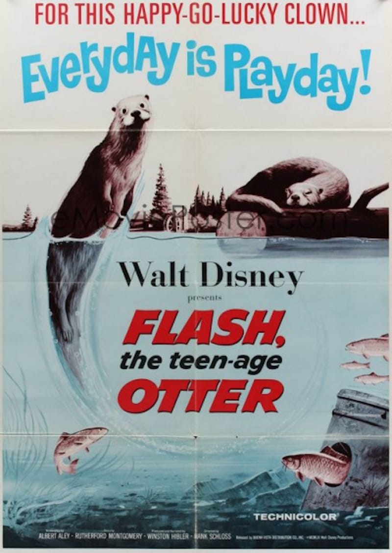 Flash, The Teenage Otter (1961)