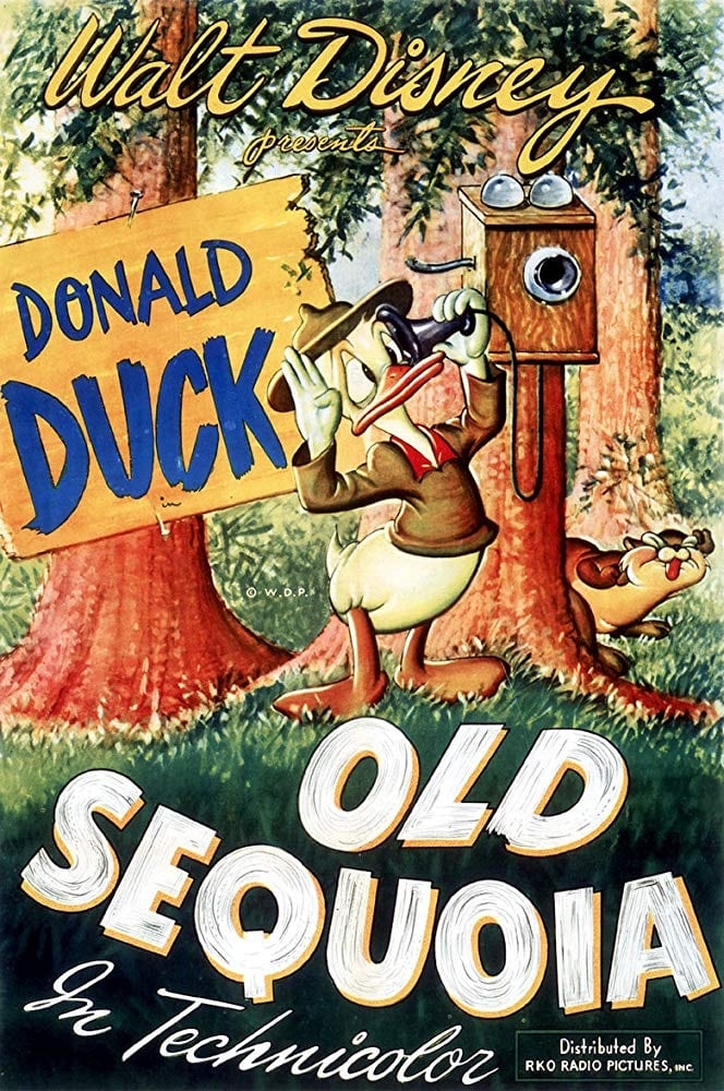 Donald und die Riesentanne