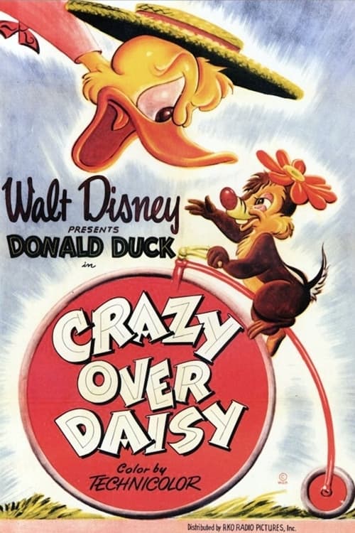 Crazy Over Daisy