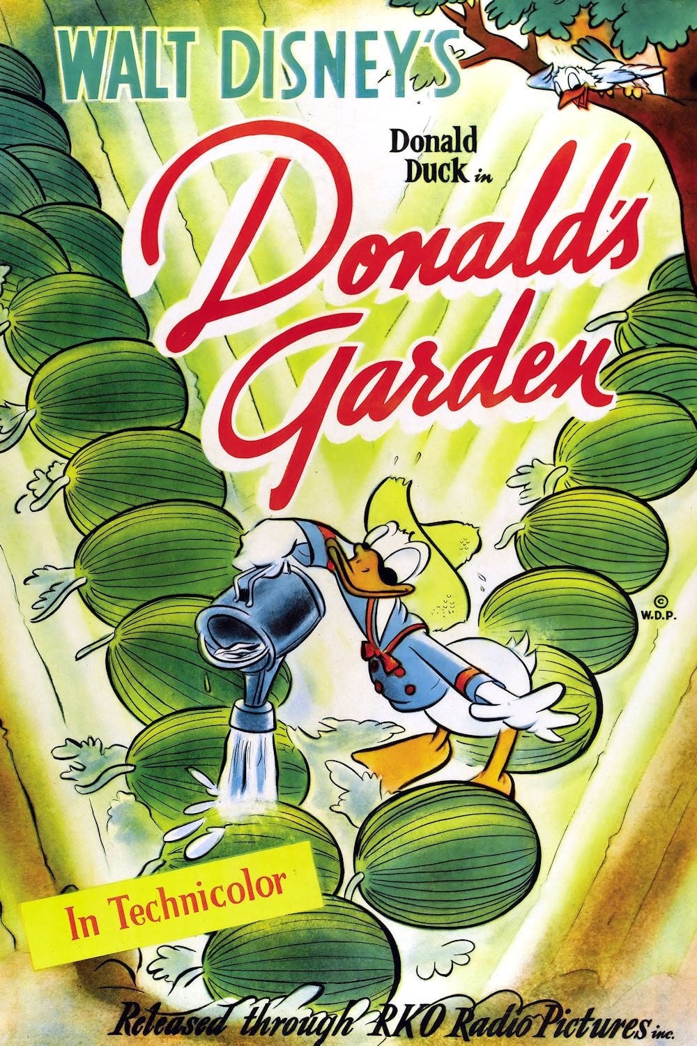 El jardín de Donald