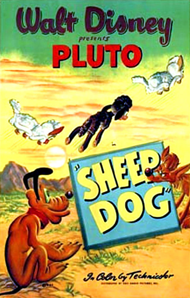 Sheep Dog (1949)