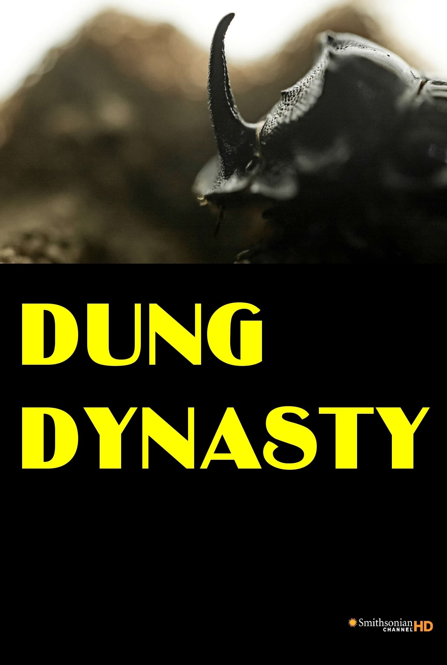 Dung Dynasty