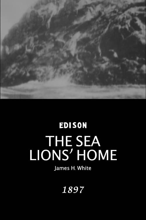 The sea lions' home (1897)