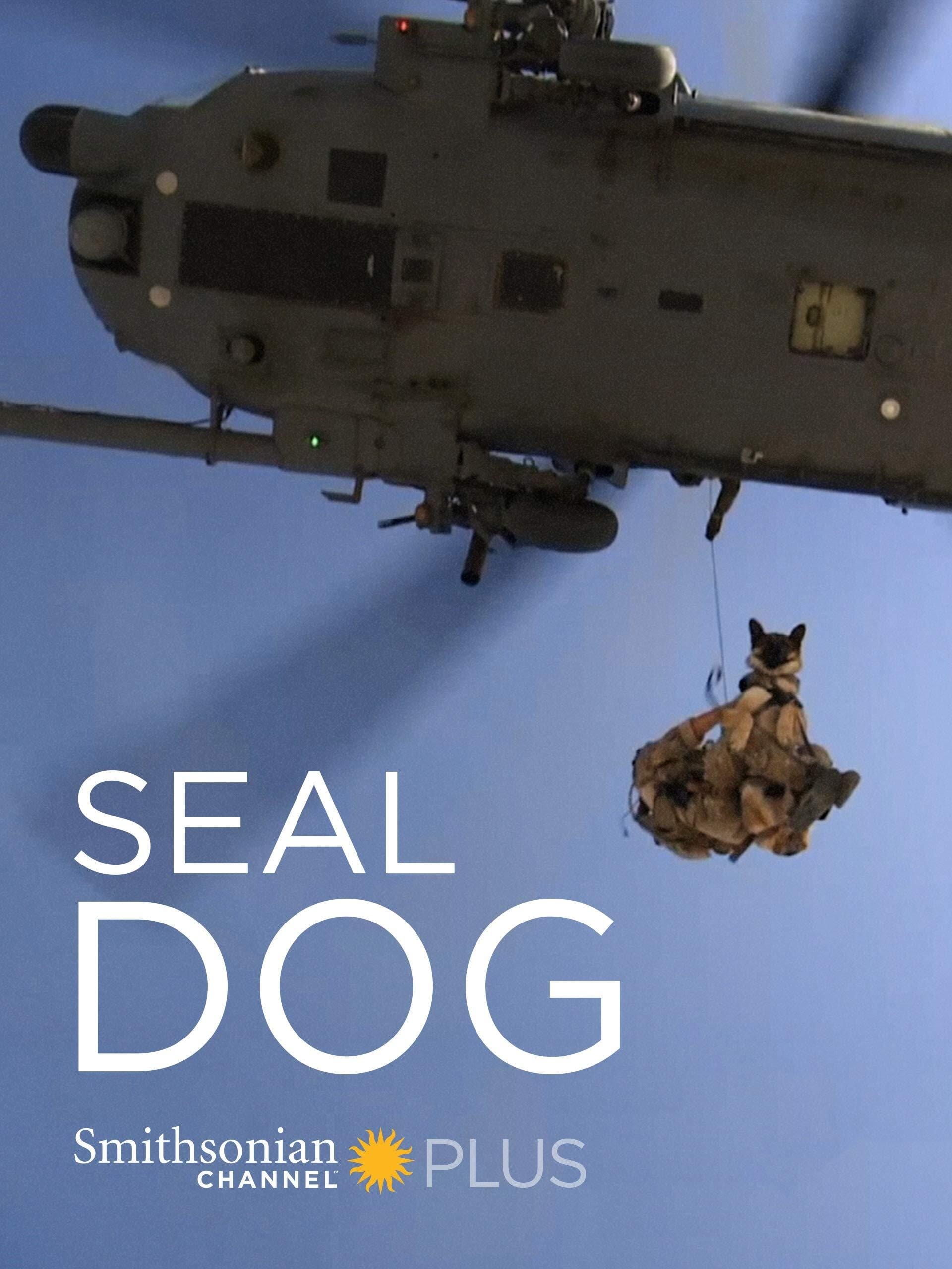 SEAL Dog