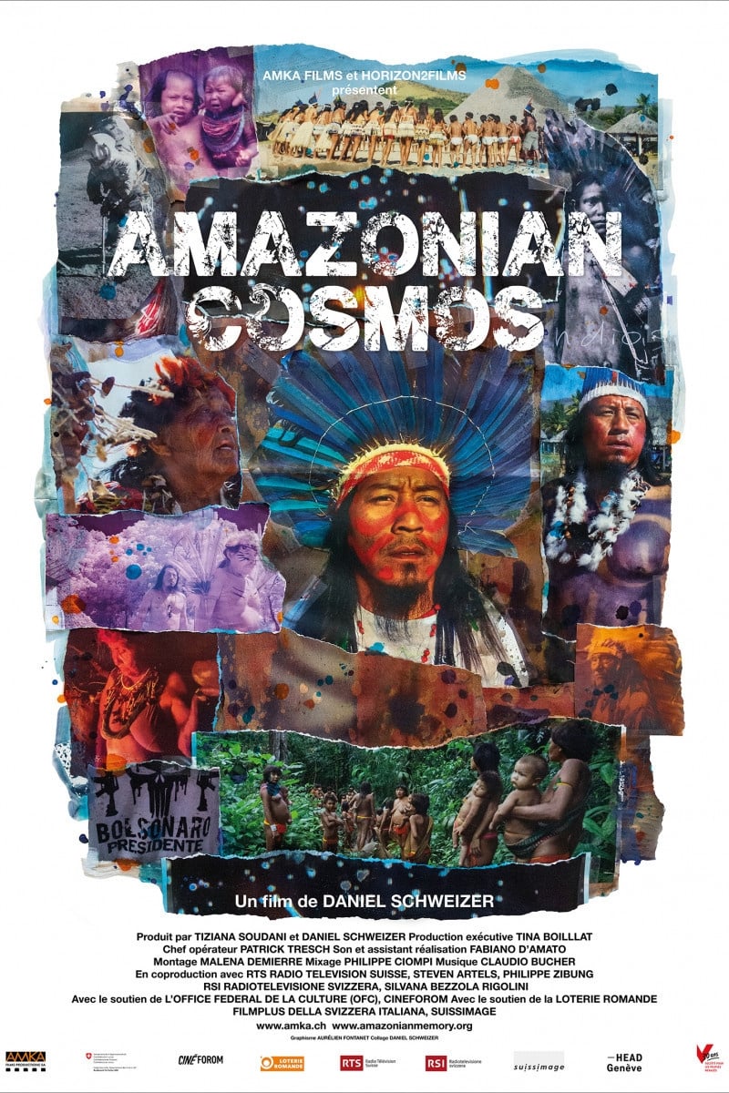 Amazonian Cosmos