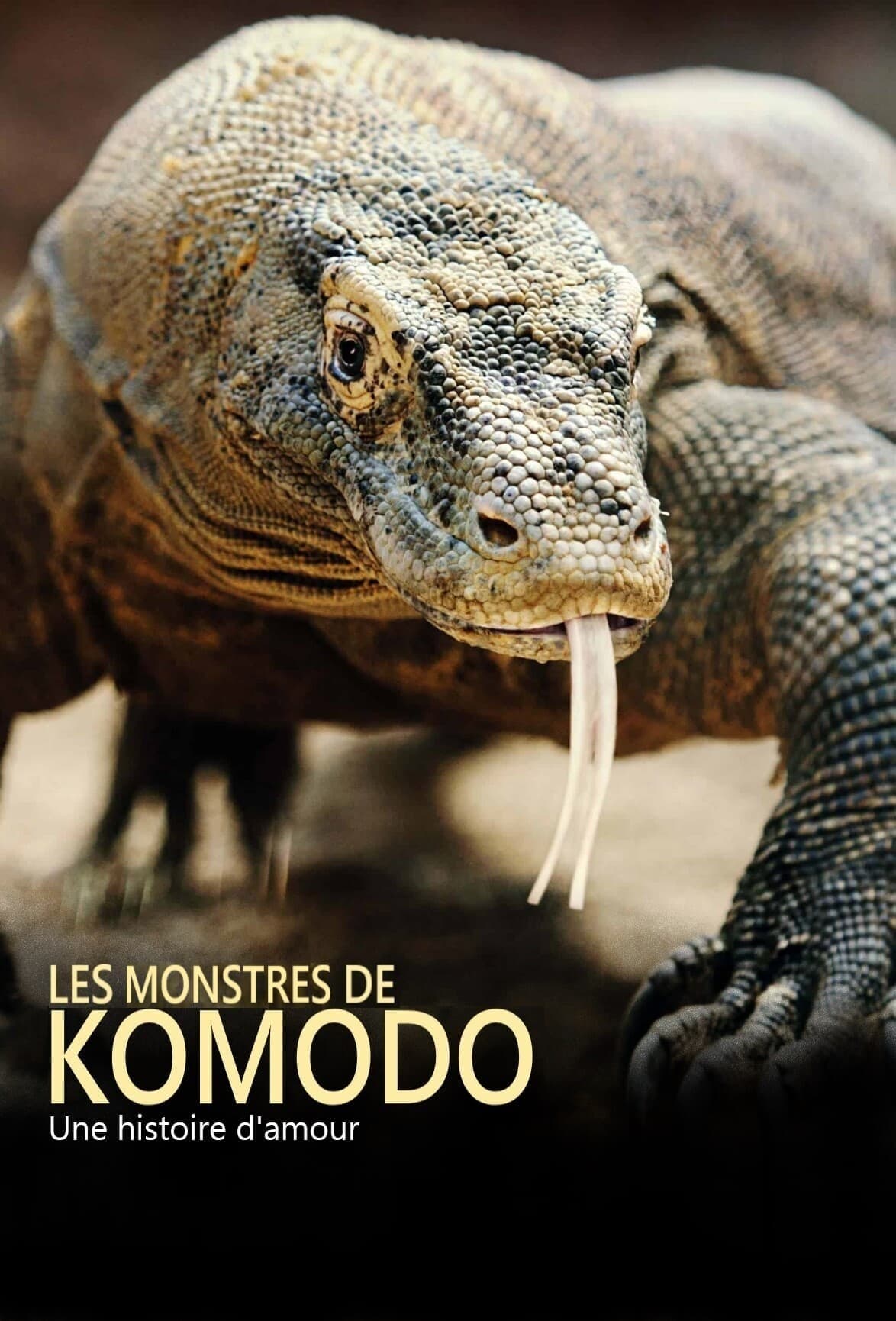 Les monstres de Komodo : une histoire d'amour