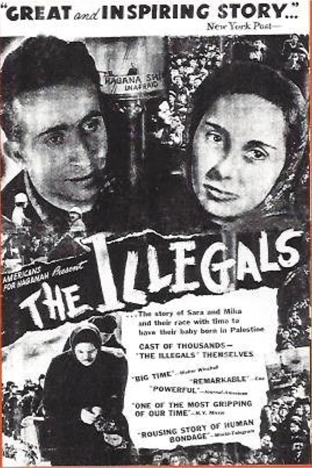 The Illegals