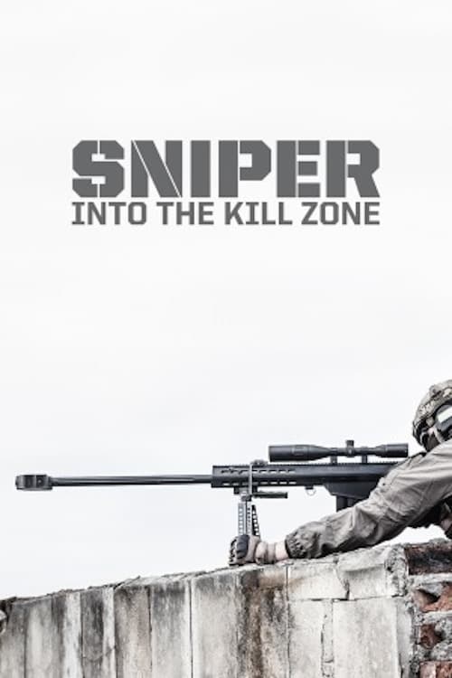 Sniper: Into the Kill Zone
