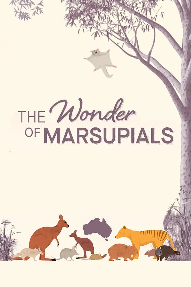 The Wonder of Marsupials