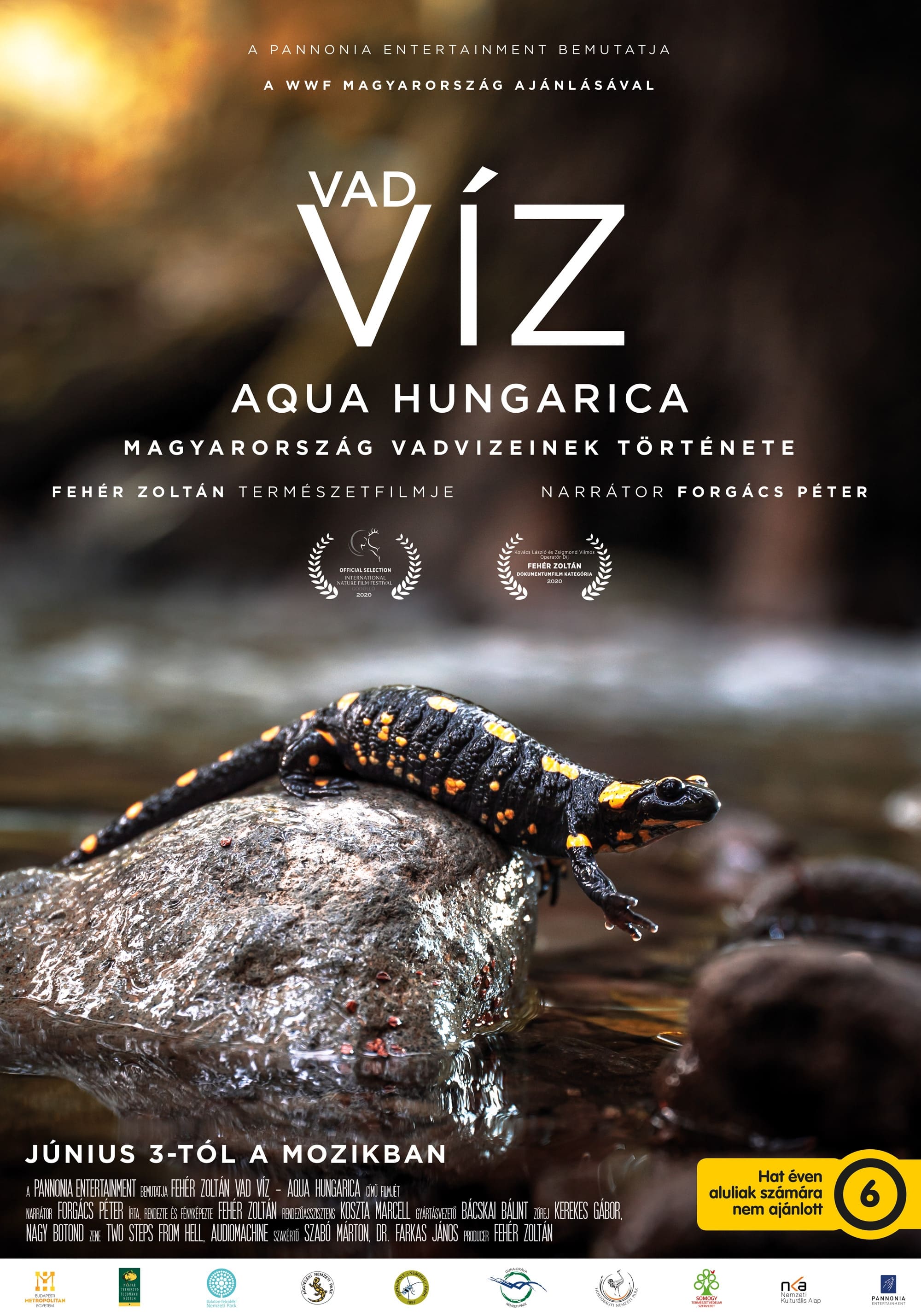 Vad víz – Aqua Hungarica