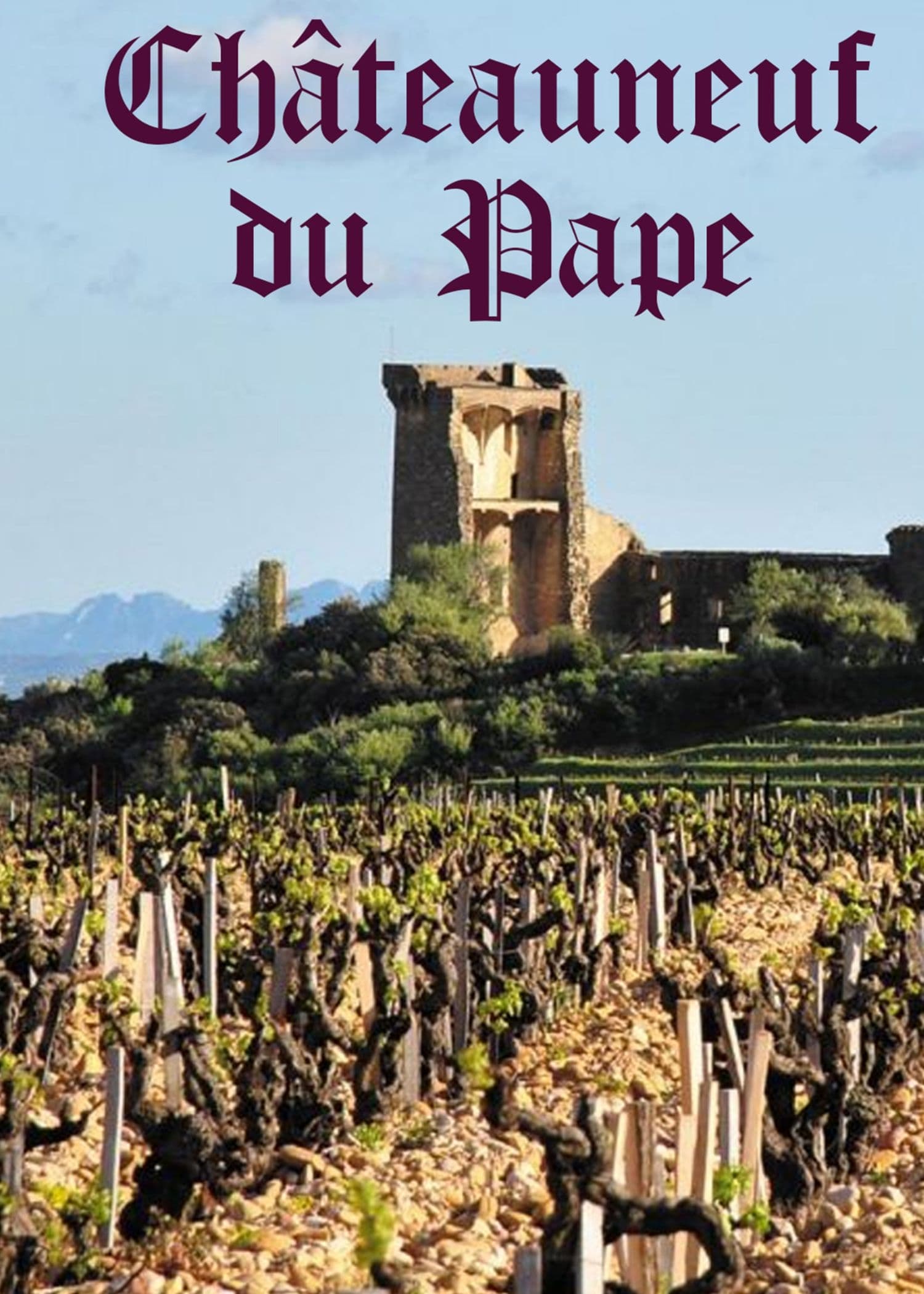 Château Neuf Du Pape : A Success Story