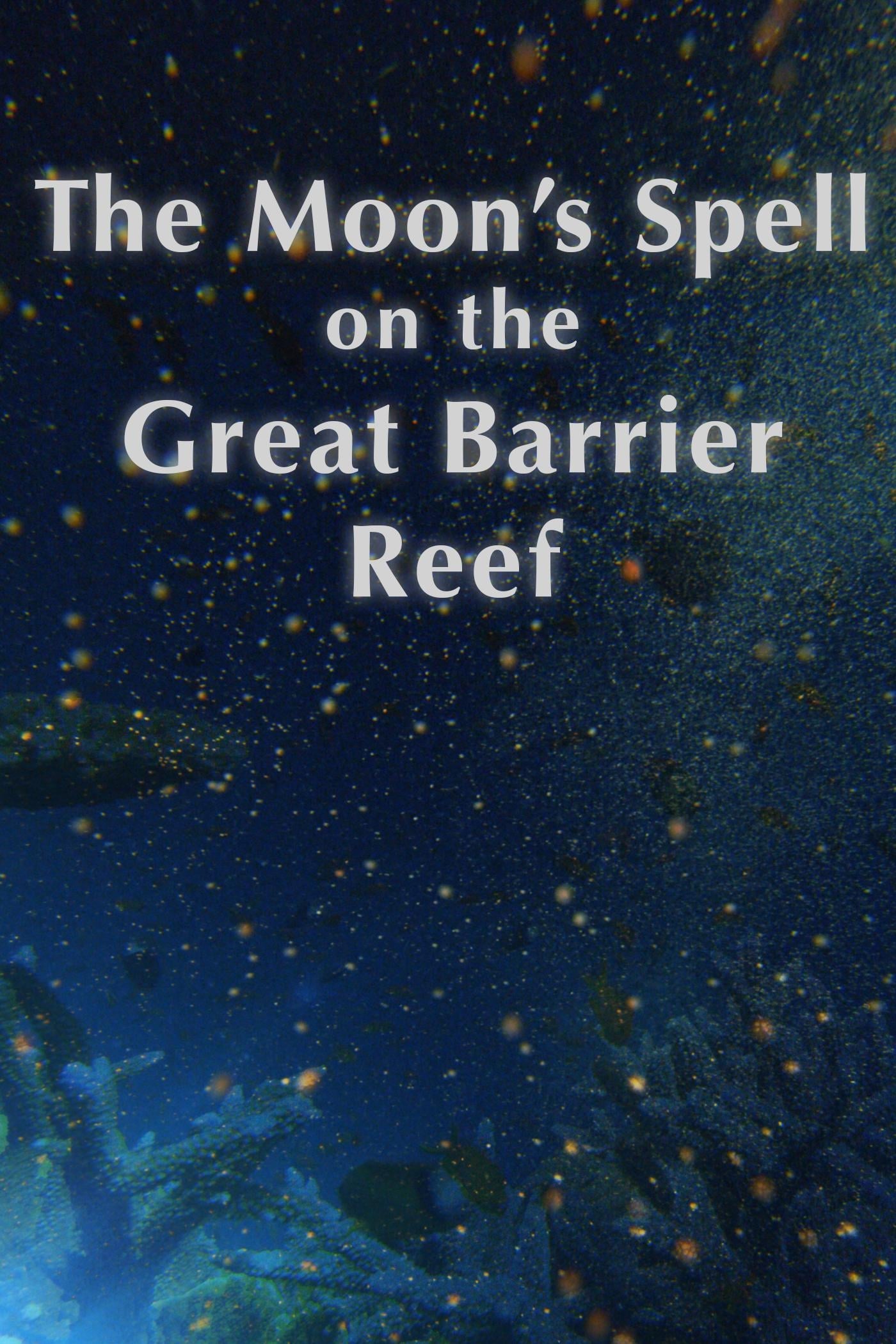 The Moon's Spell on the Great Barrier Reef