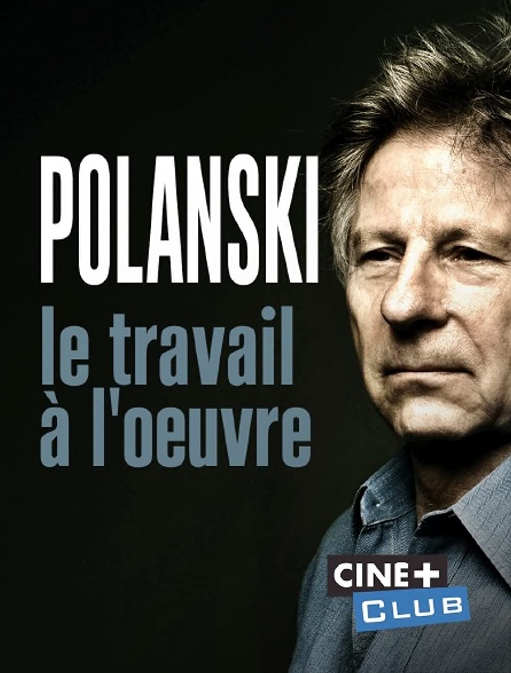 Polanski, le travail à l'oeuvre (2019)